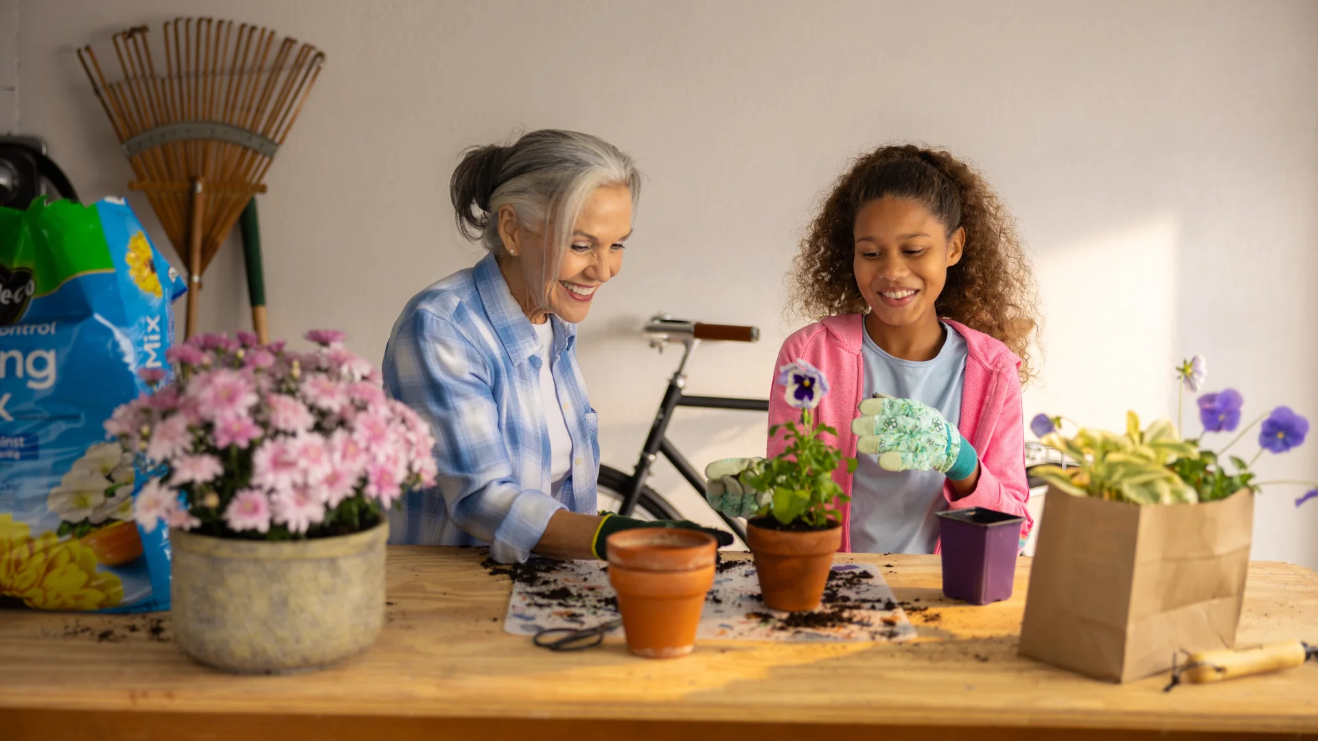 Welcome to Our Store